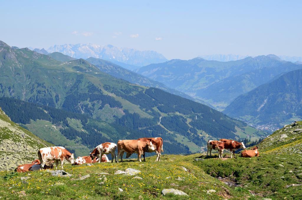 Scheibenhof Villa Bad Gastein Luaran gambar